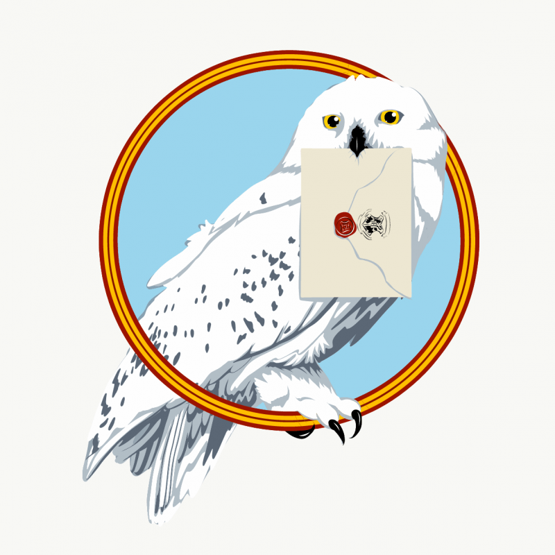 Snowy Owl mail delivery